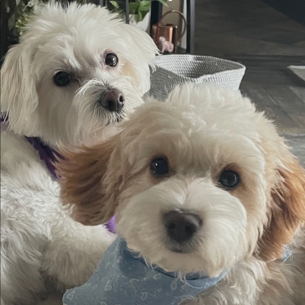 Meet your Posher, Catherine